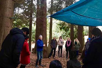 Teaching in the woods