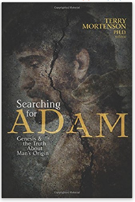 In search of Adam