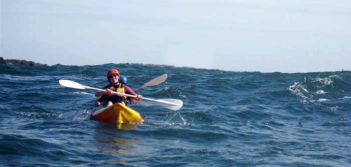 Canoeing with whales in Byron Bay